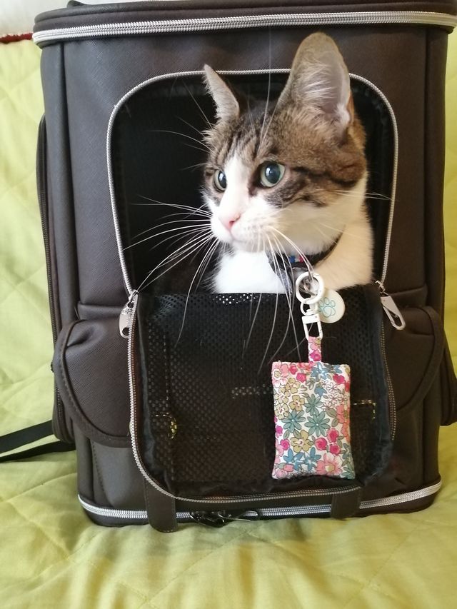 Meadow Joy Pastel Herbal Pet Sachet