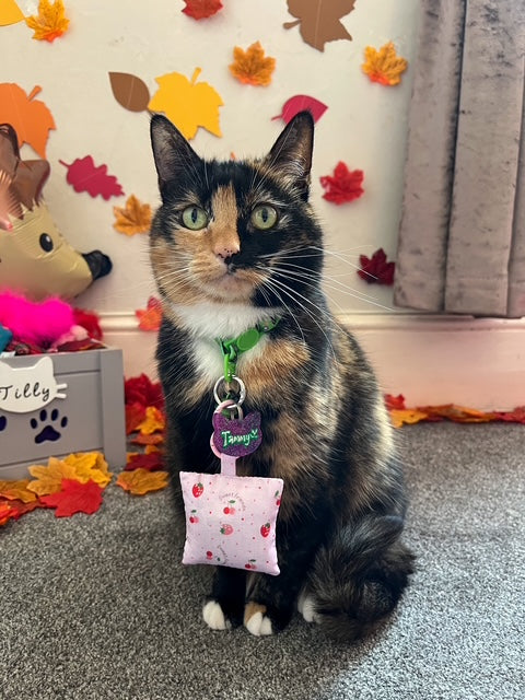 Strawberry Soft Pink Herbal Pet Sachet