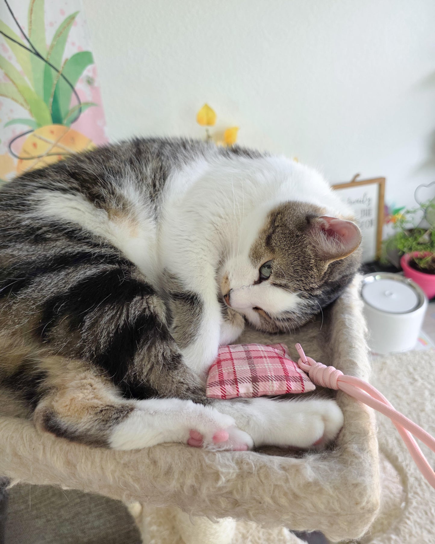 Berry Plaid Blossom Herbal Pet Sachet