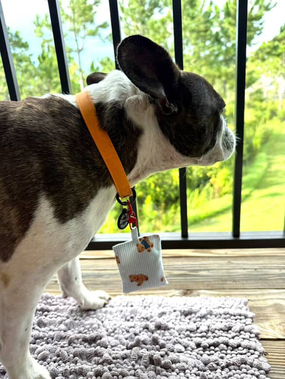 Blue Bear Dreams Herbal Pet Sachet