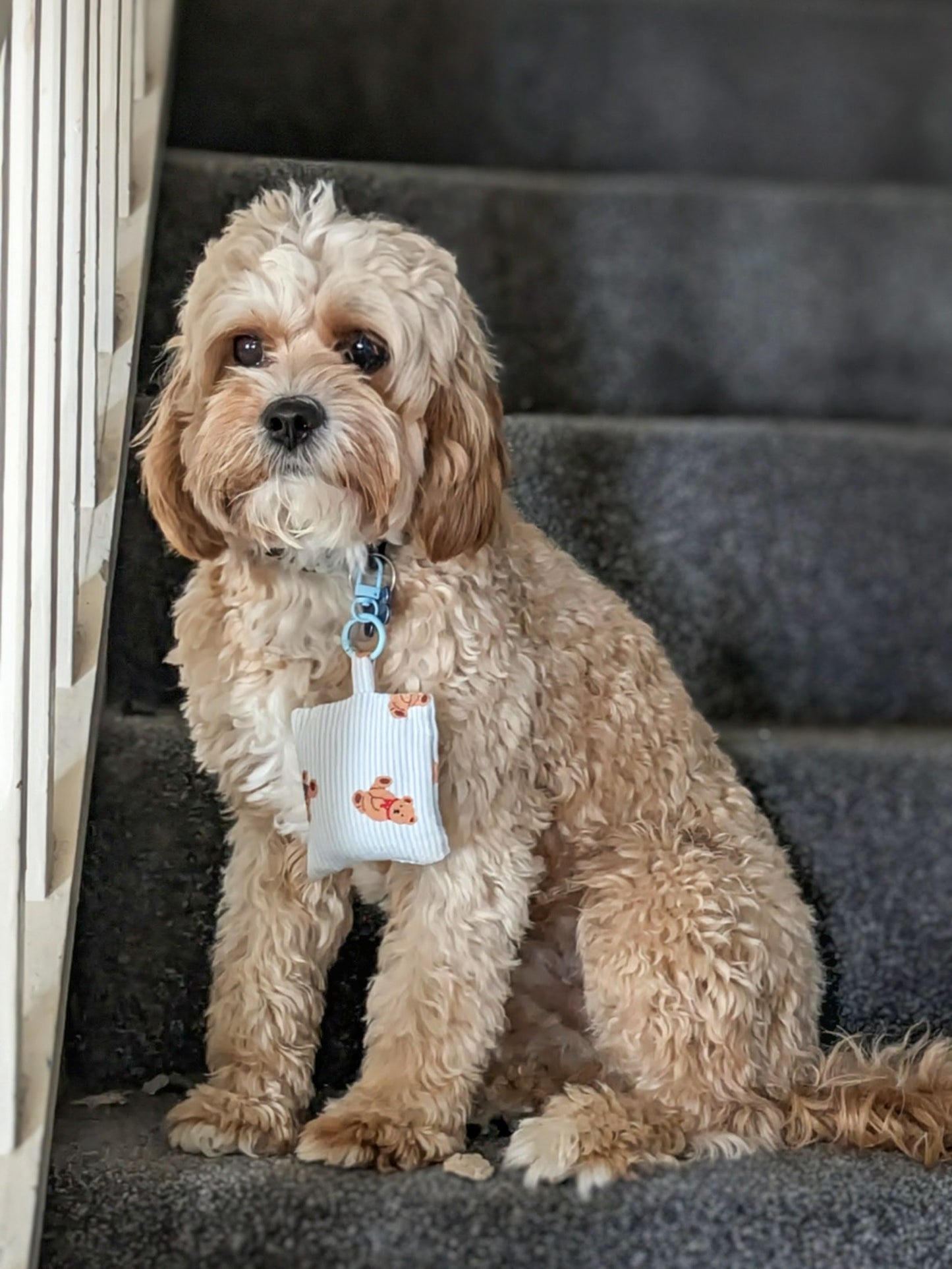 Blue Bear Dreams Herbal Pet Sachet