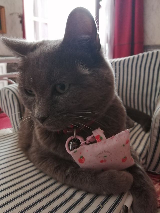 Strawberry Soft Pink Herbal Pet Sachet