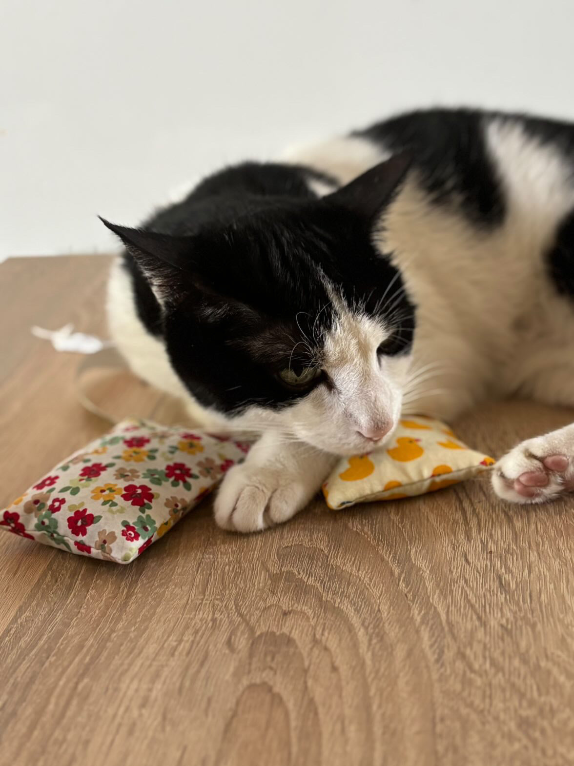 Summer Bloom Waltz Herbal Pet Sachet