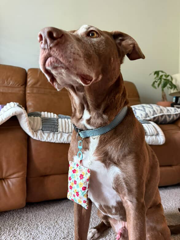 Summer Bloom Waltz Herbal Pet Sachet