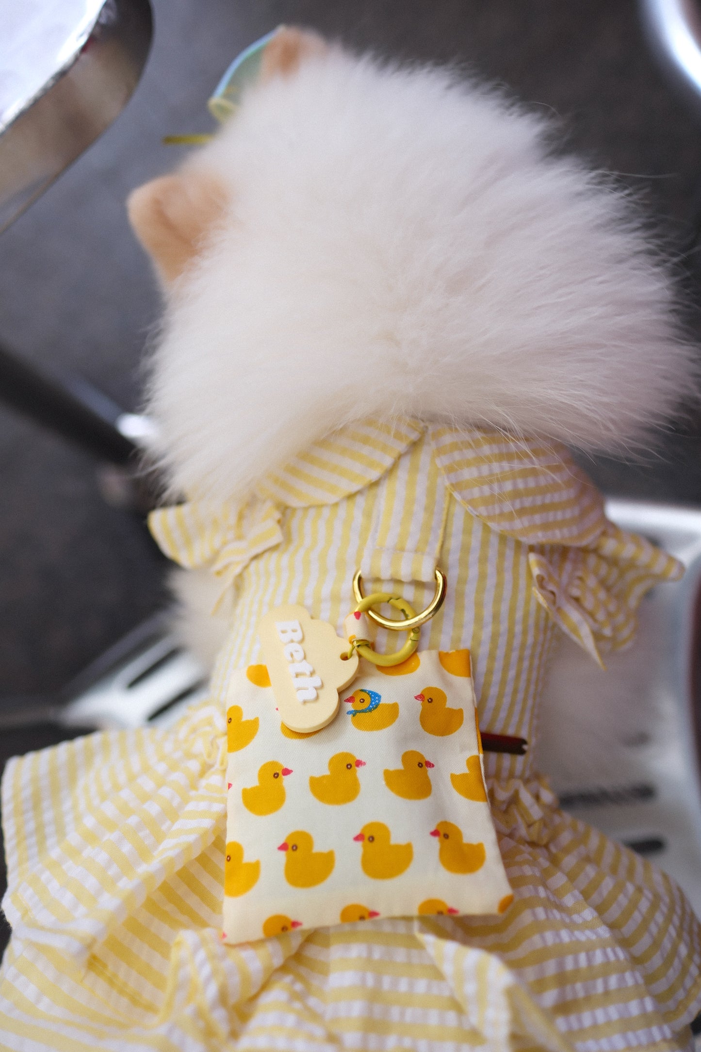 Quack Parade Sunny Herbal Pet Sachet