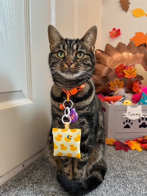 Quack Parade Sunny Herbal Pet Sachet