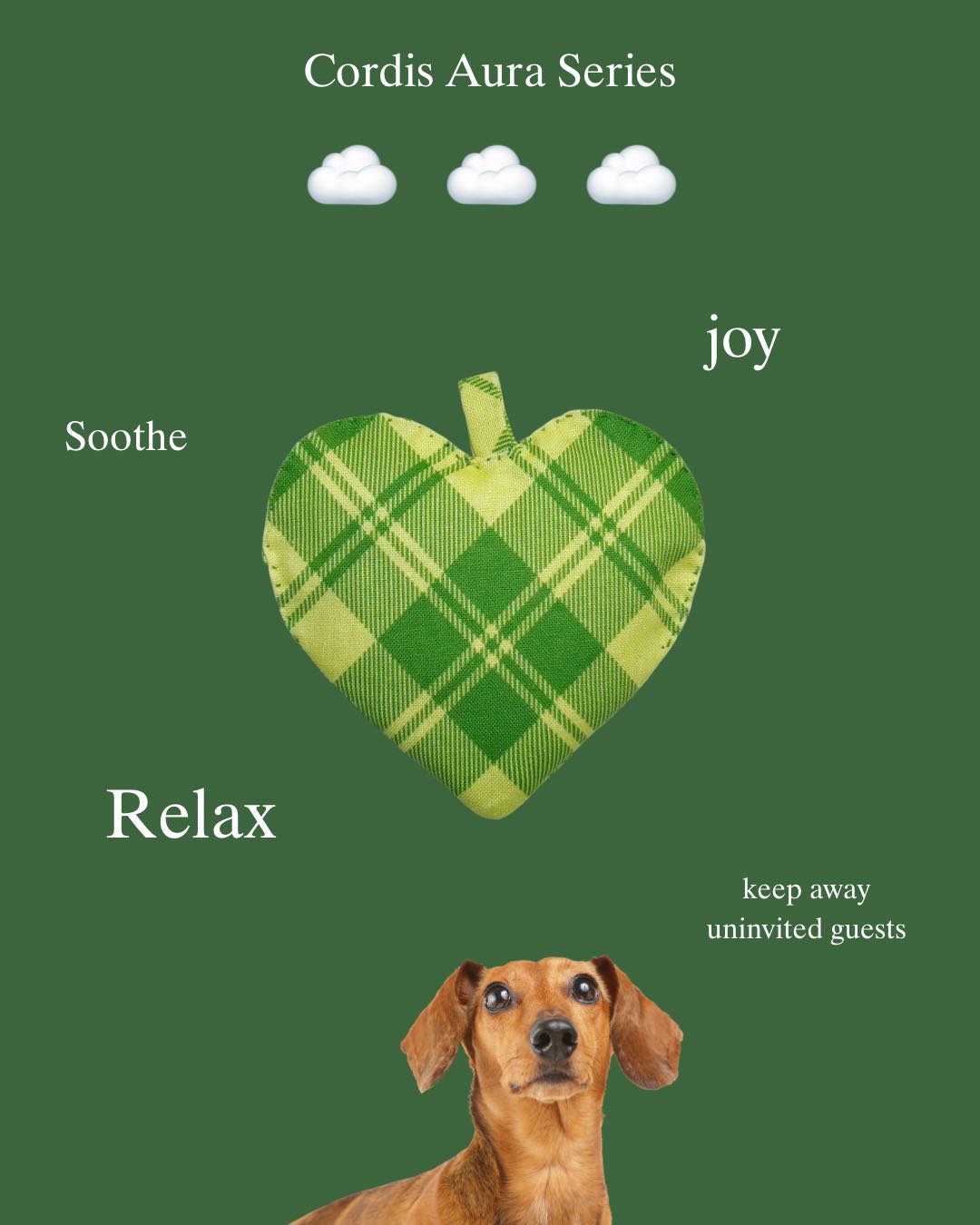 Cordis Aura Series Herbal Pet Sachet