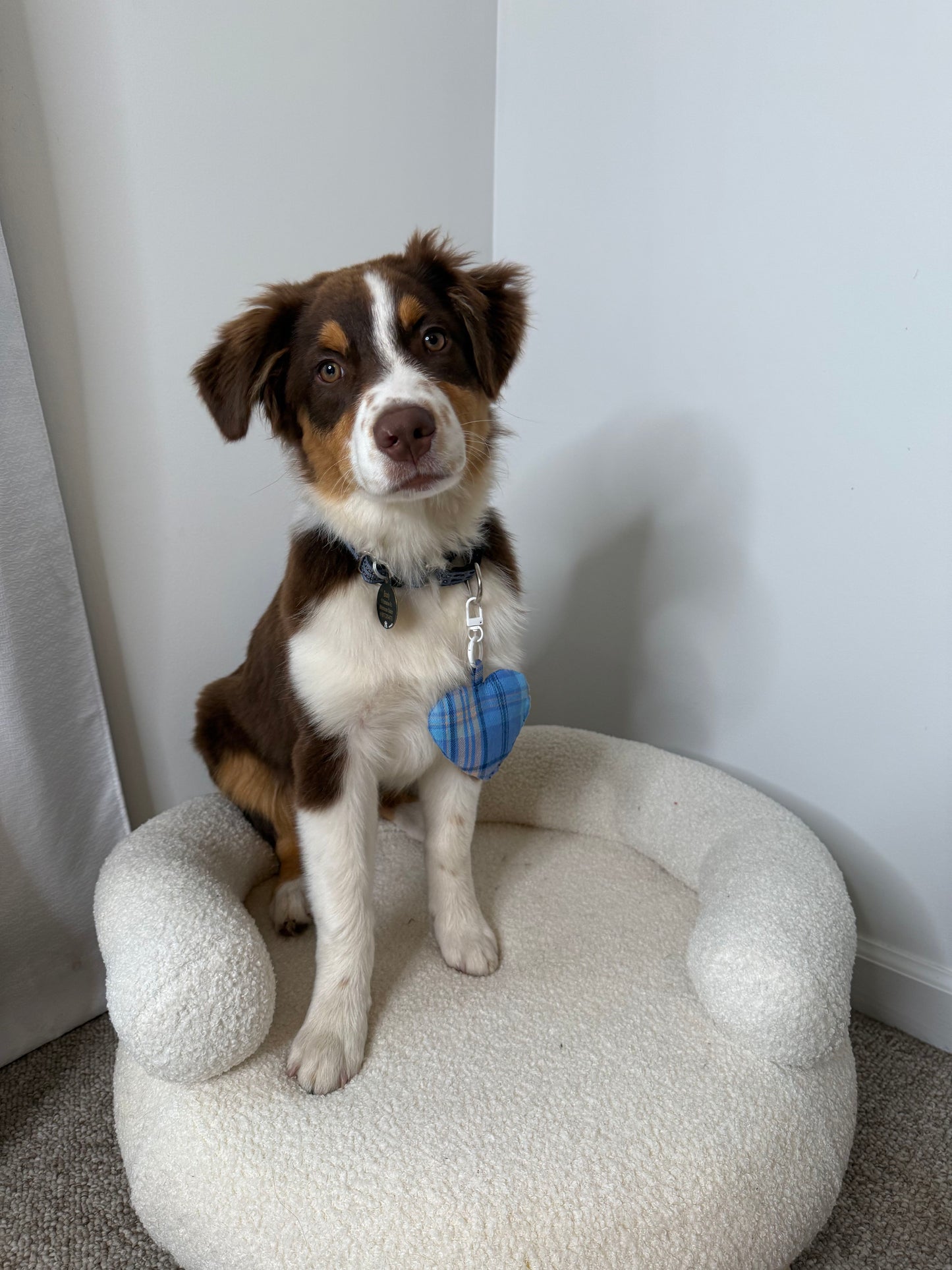 Cordis Aura Series Herbal Pet Sachet