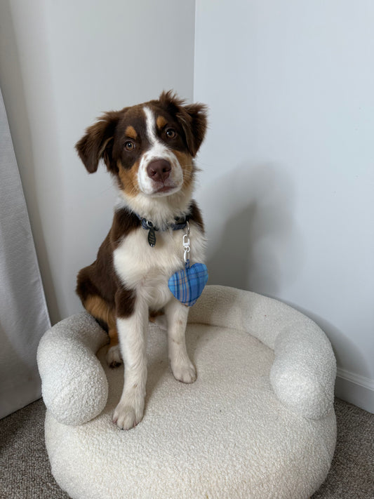 Cordis Aura Series Herbal Pet Sachet