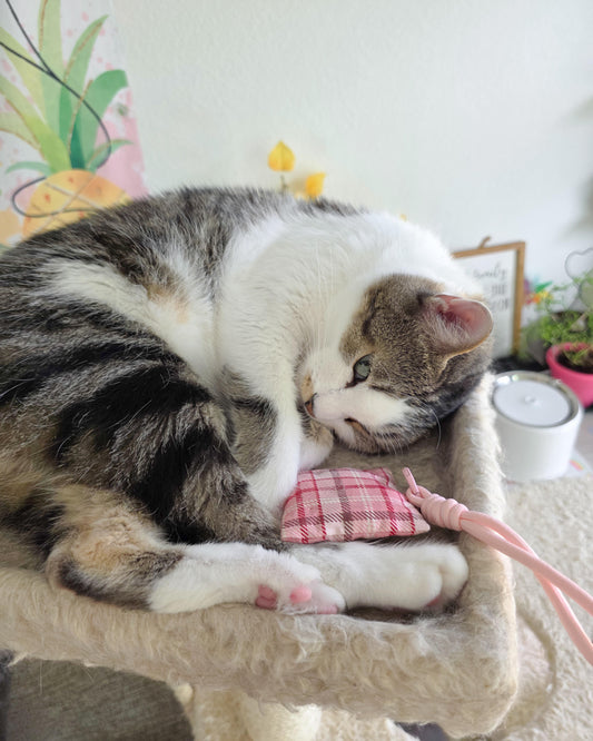 Berry Plaid Blossom Herbal Pet Sachet